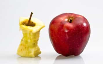 Frutta e verdura più povere di vitamine e minerali: cosa succede ai nostri alimenti FRUTTA E VERDURA