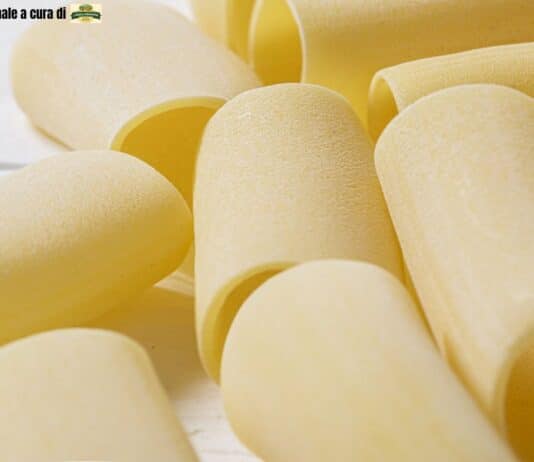 Pasta: perché non tutte sono uguali