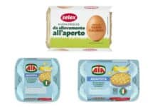 Salmonella: richiamati lotti di uova Aia e Selex
