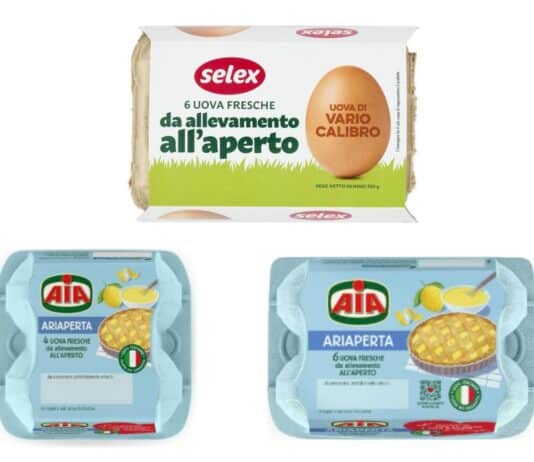 Salmonella: richiamati lotti di uova Aia e Selex