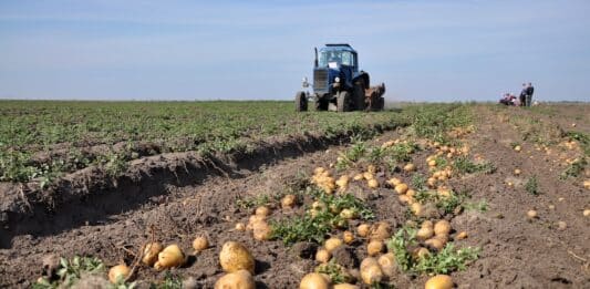 Il Belgio apre ai pesticidi “genetici”: cosa sono, come funzionano e perché fanno discutere PESTICIDI GENICI
