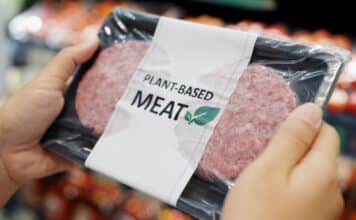 PRODOTTI VEGAN SOSTITUTI DELLA CARNE