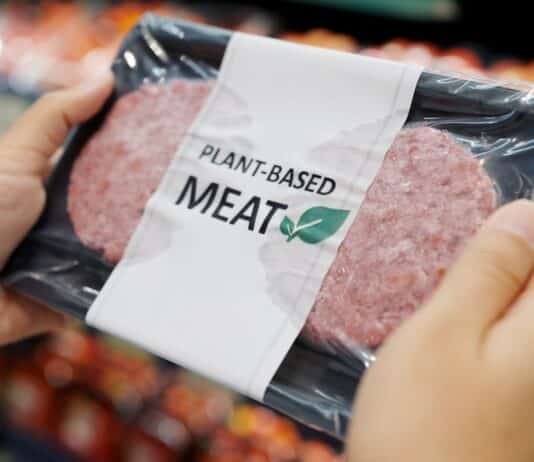 Sostituti della carne: quasi 9 prodotti vegani su 10 senza tracce animali PRODOTTI VEGAN SOSTITUTI DELLA CARNE
