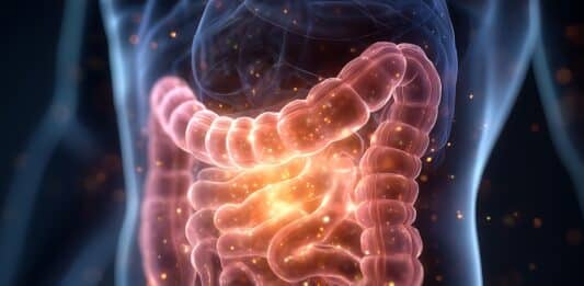 Cibo ultra-processato e additivi distruggono il microbiota: lo studio del Gemelli microbioma