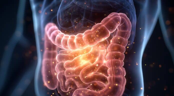 microbioma