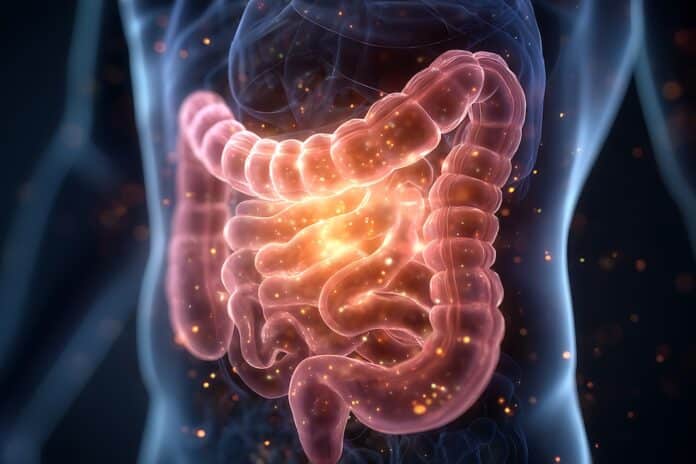 A visualization of human health and digestion issues, featuring a medical glow around the anatomy of the stomach and intestines, indicating pain and disease treatment. . microbioma