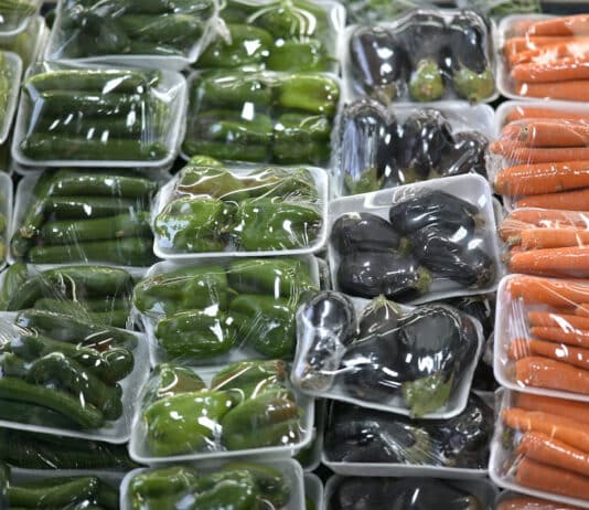 Addio agli imballaggi di plastica monouso: dovranno essere biodegradabili