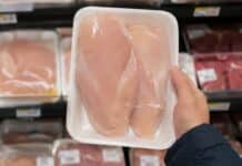 Grasso raddoppiato e salmonella: il costo nascosto del pollo industriale pollo, polli