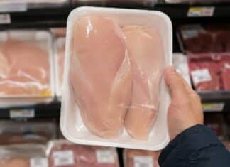 Grasso raddoppiato e salmonella: il costo nascosto del pollo industriale pollo, polli