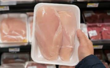 pollo, polli