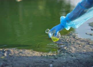 Goletta verde su laghi e mare: 1 campione su 3 oltre i limiti per inquinamento goletta