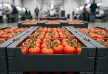 Perché le aste al doppio ribasso sono ancora lecite ASTE DOPPIO RIBASSO