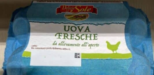 Salmonella: Eurospin richiama uova Delizie del sole. Ma l’avviso arriva in ritardo