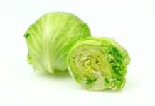 CYCLOSPORA LATTUGA ICEBERG STATI UNITI
