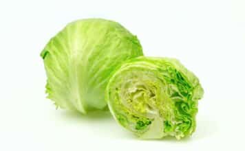 CYCLOSPORA LATTUGA ICEBERG STATI UNITI