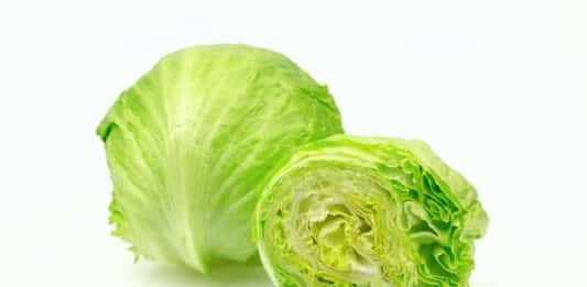 Cyclospora nella lattuga, oltre 6mila casi e 2 morti negli Usa CYCLOSPORA LATTUGA ICEBERG STATI UNITI