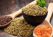 Erbicidi vietati nelle lenticchie da Usa e Canada: i risultati del test svizzero LENTICCHIE PARAQUAT