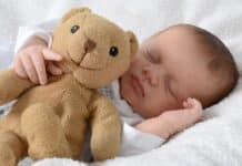 Pfas in tutti i peluche analizzati, lo studio sul rischio per i bambini BAMBINI PELUCHE PFAS