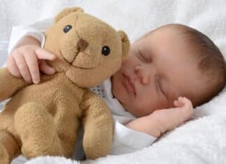 Pfas in tutti i peluche analizzati, lo studio sul rischio per i bambini BAMBINI PELUCHE PFAS