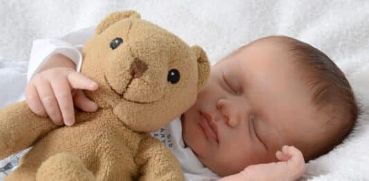 Pfas in tutti i peluche analizzati, lo studio sul rischio per i bambini BAMBINI PELUCHE PFAS
