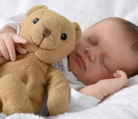 Pfas in tutti i peluche analizzati, lo studio sul rischio per i bambini BAMBINI PELUCHE PFAS