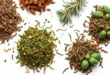 Origano, basilico, timo… Il rischio salmonella nelle spezie SPEZIE