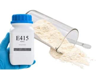 E415 XANTAN GUM
