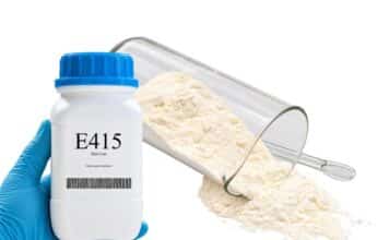 E415 XANTAN GUM