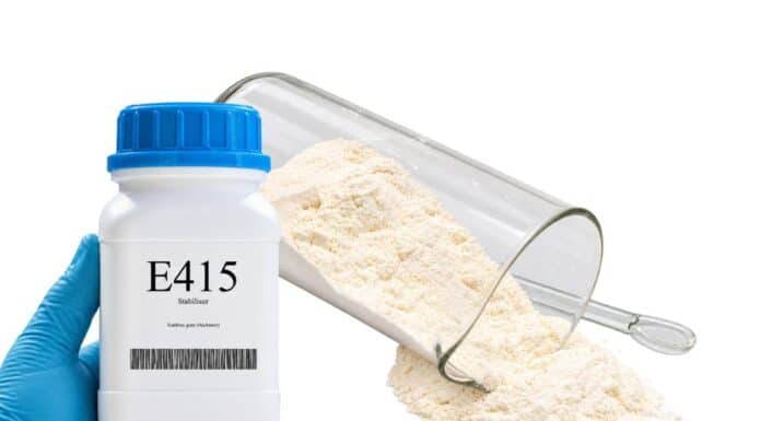E415 XANTAN GUM