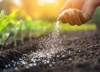 Per i giudici il concime bio era un “pesticida mascherato”: multinazionale perde contro azienda abruzzese pesticida