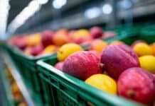 Fosfina negli alimenti importati: quasi l’8% dei campioni supera i limiti fosfina