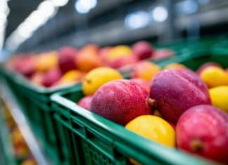 Fosfina negli alimenti importati: quasi l’8% dei campioni supera i limiti fosfina