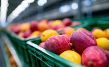 Fosfina negli alimenti importati: quasi l’8% dei campioni supera i limiti fosfina