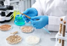 Pesticidi, 500 scienziati al Parlamento Ue: “Fermate la deregulation” PESTICIDI SCIENZIATI
