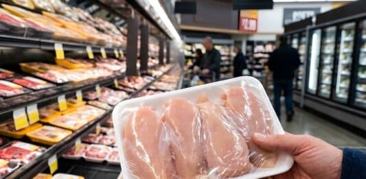 Petti di pollo pieni di batteri: test svizzero trova E.coli e Campylobacter in 10 prodotti su 16