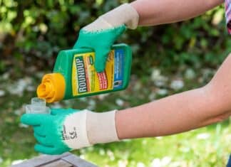 Bayer e Monsanto, la deroga per il glifosato è costata milioni in lobbying glifosato