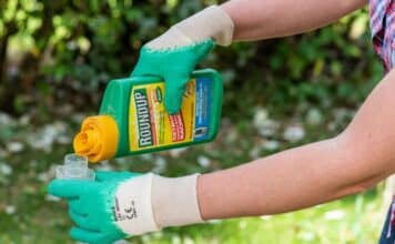 Bayer e Monsanto, la deroga per il glifosato è costata milioni in lobbying glifosato
