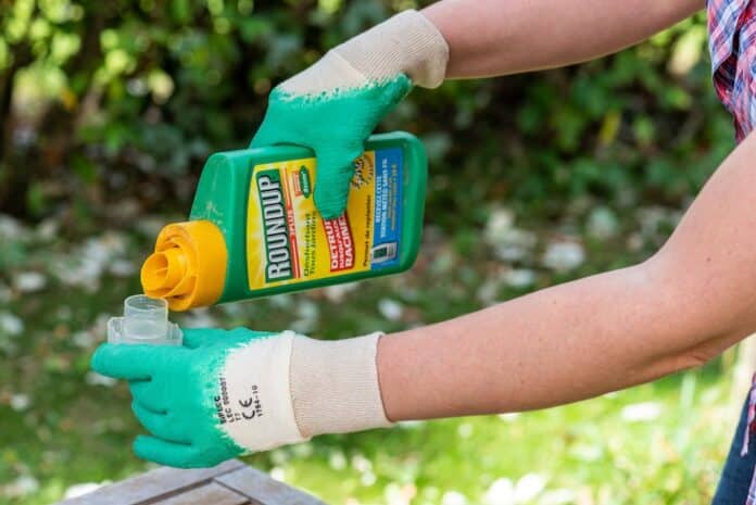Paris, France - August 15, 2018 : Gardener using Roundup herbicide in a french garden. Roundup is a brand-name of an herbicide containing glyphosate, made by Monsanto Company. glifosato