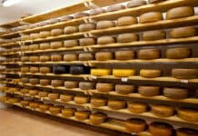 Formaggi a latte crudo: “Pochi controlli in Lombardia ma il rischio c’è” FORMAGGI LATTE CRUDO LOMBARDIA