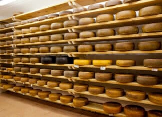 Formaggi a latte crudo: “Pochi controlli in Lombardia ma il rischio c’è” FORMAGGI LATTE CRUDO LOMBARDIA