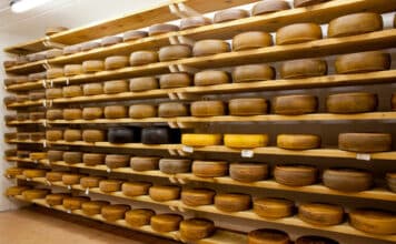 Formaggi a latte crudo: “Pochi controlli in Lombardia ma il rischio c’è” FORMAGGI LATTE CRUDO LOMBARDIA