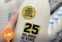 Uova e latte, rapporto Lav: “27,6 miliardi di costi nascosti”. Meglio le alternative veg (con un’eccezione) latte