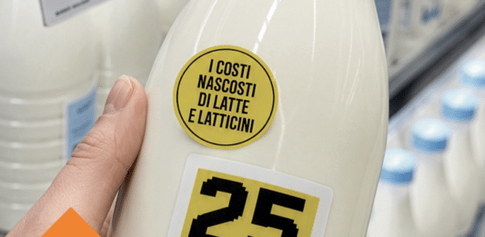 Uova e latte, rapporto Lav: “27,6 miliardi di costi nascosti”. Meglio le alternative veg (con un’eccezione) latte