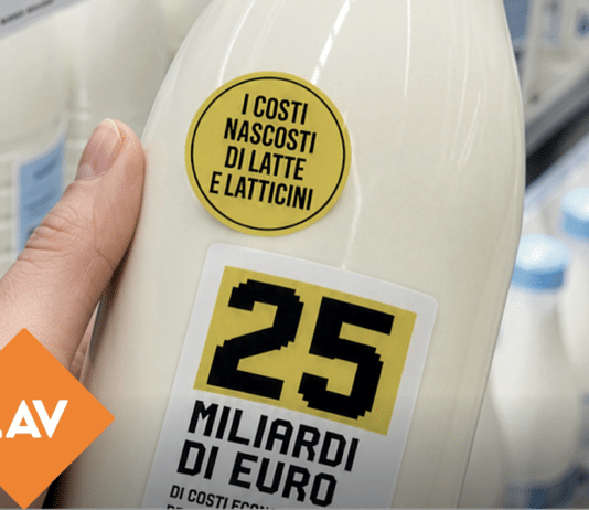 Uova e latte, rapporto Lav: “27,6 miliardi di costi nascosti”. Meglio le alternative veg (con un’eccezione) latte