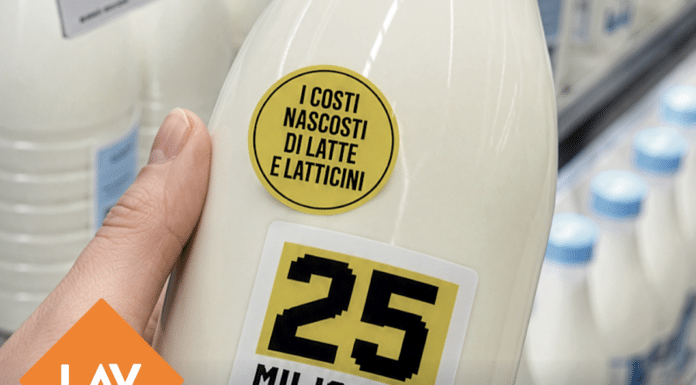 Uova e latte, rapporto Lav: “27,6 miliardi di costi nascosti”. Meglio le alternative veg (con un’eccezione) latte