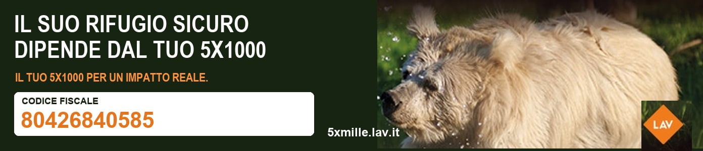 LAV — 5 per mille